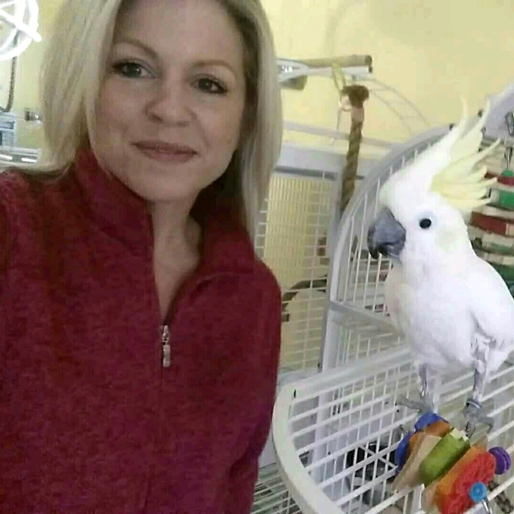 Meet your Posher, Amy